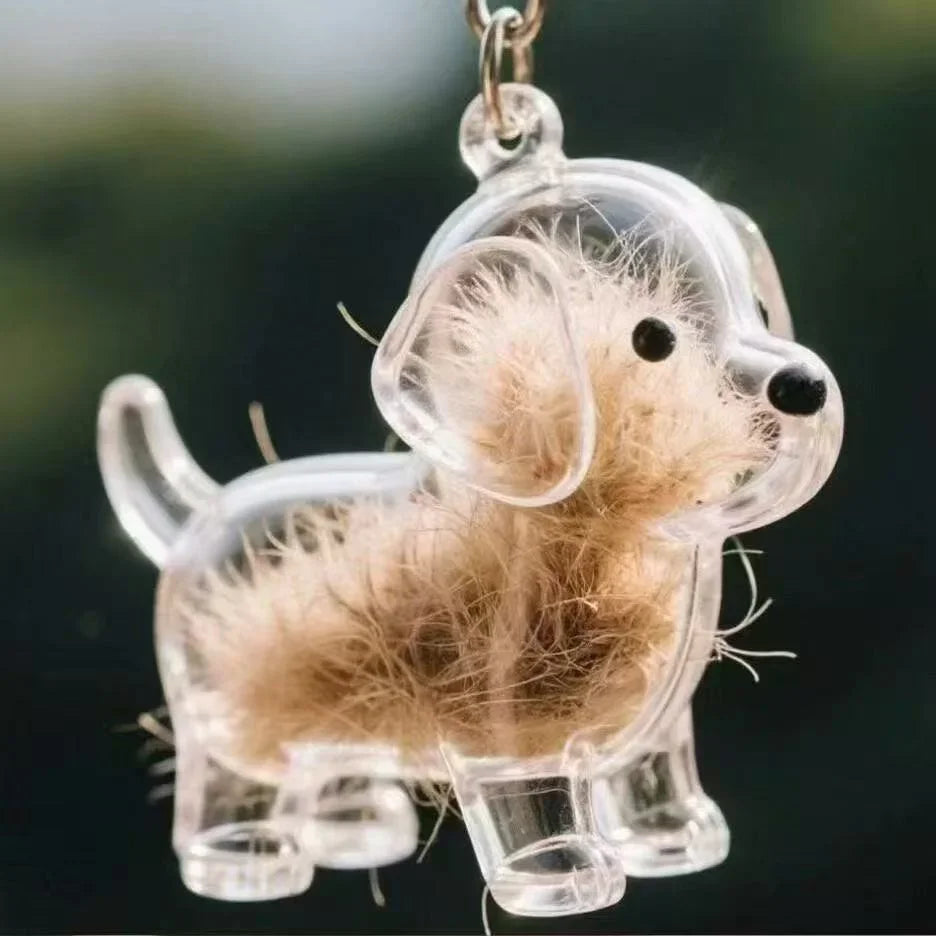 Transparent Dog Hair Storage