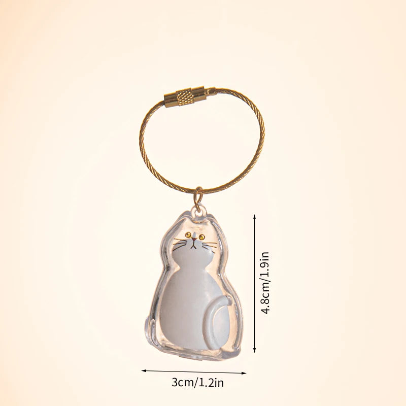 Cat Hair Memorial Storage Keychain Cat
